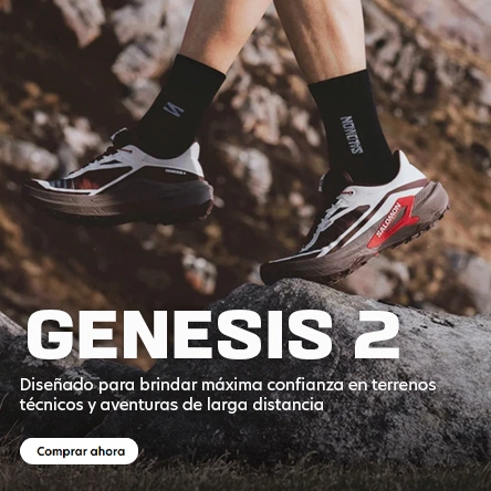 bannergenesis rnv