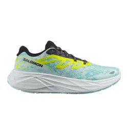 Zapatillas Salomon Aero Glide 2