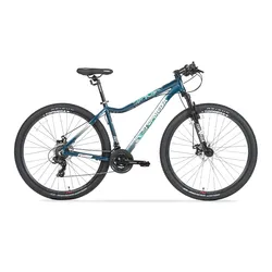 Bicicleta TopMega Mountain Bike Flamingo Aluminio R29 21vel
