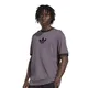 remera-adidas-originals-adicolor-loose-2000s-cali-GRIS