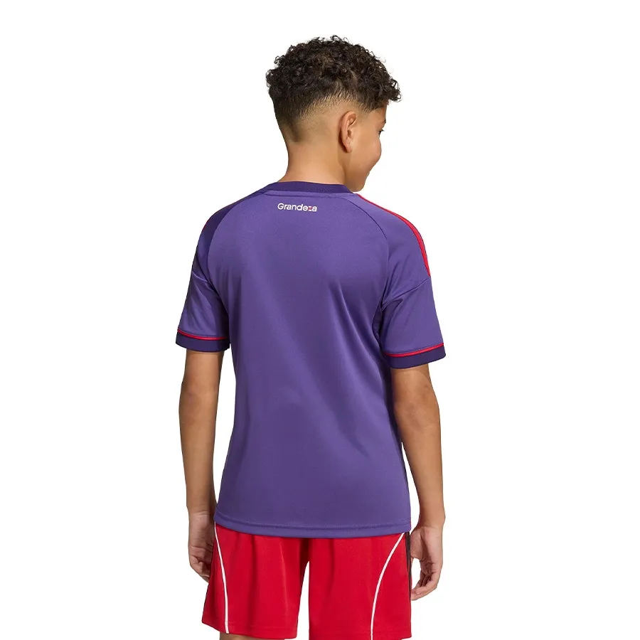 Imagen 1 de 7 de Camiseta adidas Alternativa River Plate 26-VIOLETA/ROJO