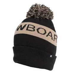 Dc Beanie Snow Chester
