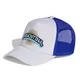 gorra-adidas-originals-trucker-argentina-26-afa-AZUL/BLANCO