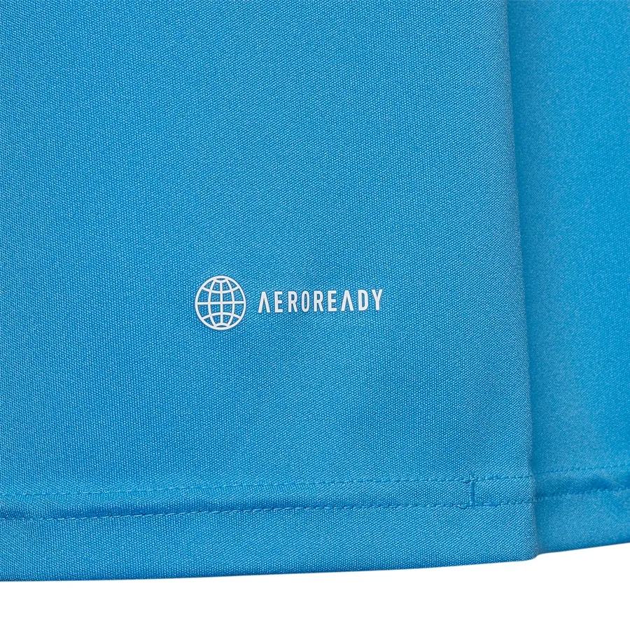 Imagen 4 de 5 de Camiseta adidas Afa Entrenamiento 23-CELESTE/MARINO