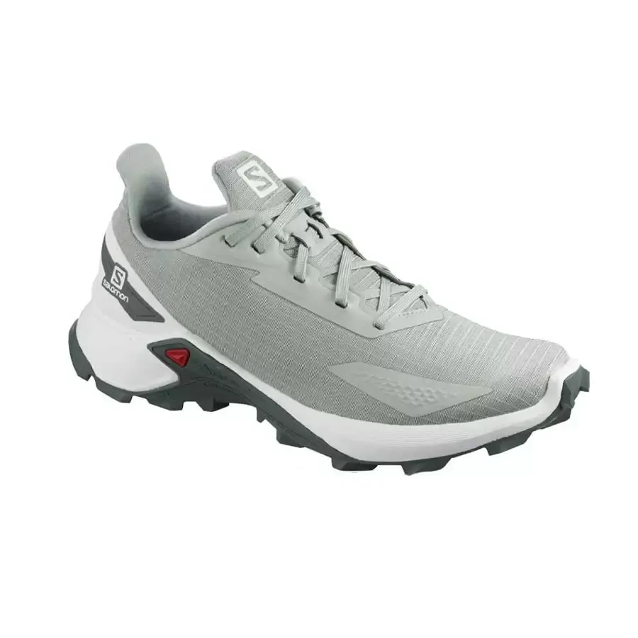 Imagen 0 de 4 de Zapatillas Salomon Alphacross Blast W-VERDE