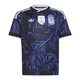 camiseta-adidas-originals-adidas-alternativa-seleccion-argentina-26-NEGRO/AZUL/CELESTE