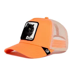 Gorra Goorin Bros Baseball The Panther