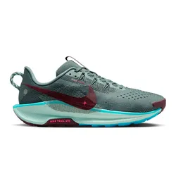 Zapatillas Nike Pegasus Trail 5