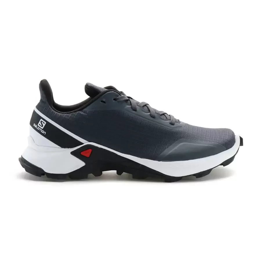 Imagen 4 de 5 de Zapatillas Salomon Alphacross W-GRIS/BLANCO