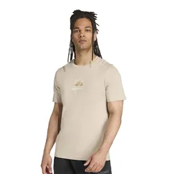 Remera adidas Graphic Terrex Outdoor