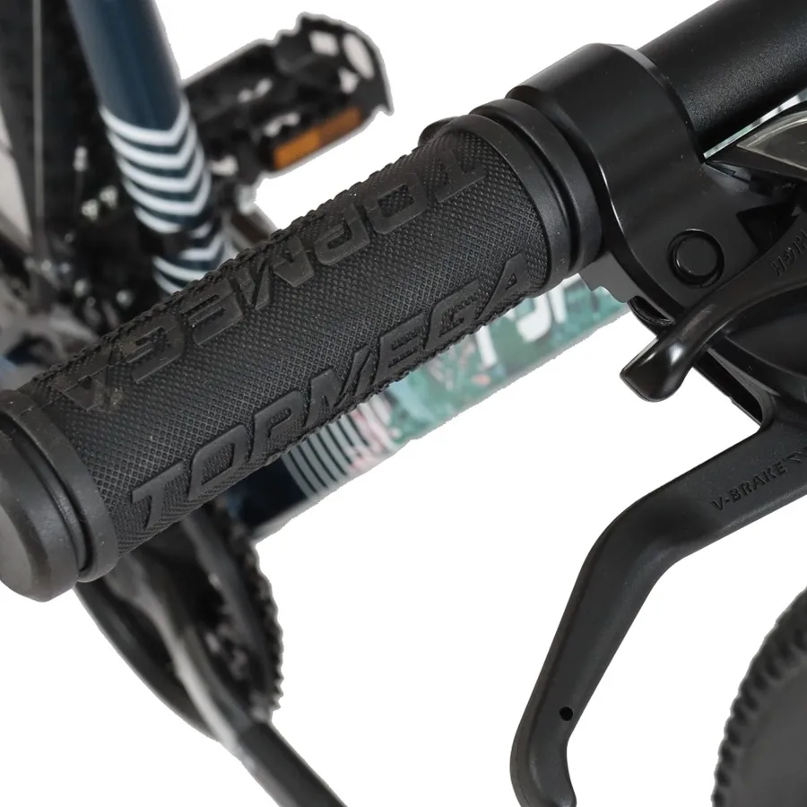 Imagen 3 de 10 de Bicicleta TopMega Mountain Bike Flamingo Aluminio R29 21vel-AZUL/BLANCO/VERDE