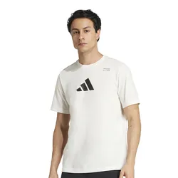 Remera adidas Graphic De Categoría Climacool