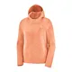 buzo-salomon-logo-lt-hoodie-vi-SALMON