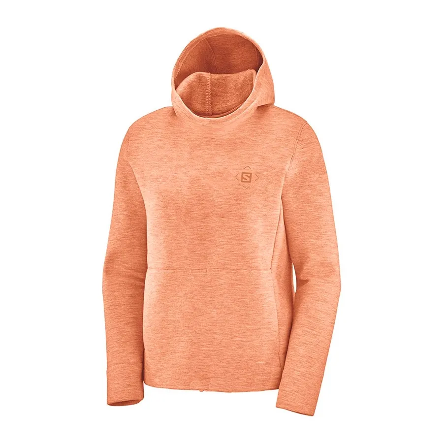 Imagen 0 de 1 de Buzo Salomon Logo Lt Hoodie VI-SALMON