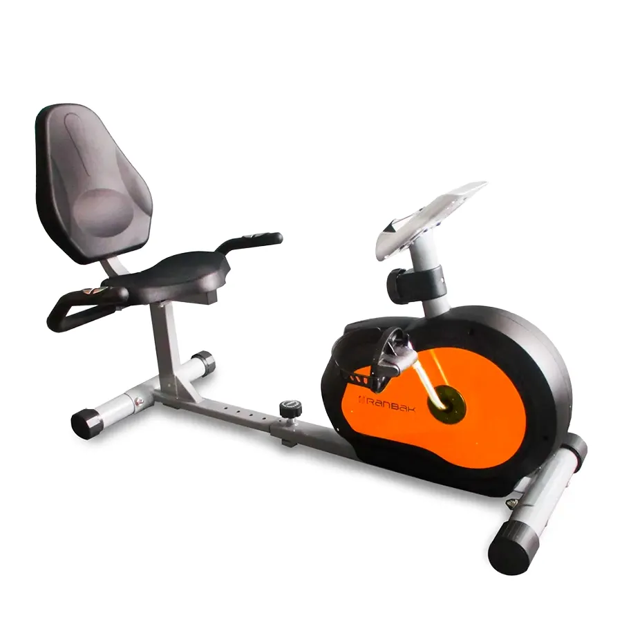 Imagen 0 de 4 de Bicicleta Fija Ranbak Recumbent Magnetico 201-GRIS/NARANJA