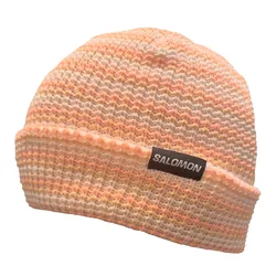 Gorro Salomon Frost Beanie