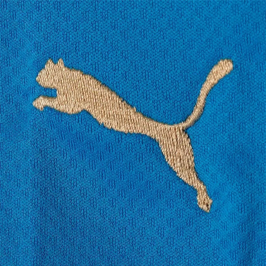 Imagen 3 de 4 de Camiseta Puma Italia Titular Réplica 22/23-AZUL