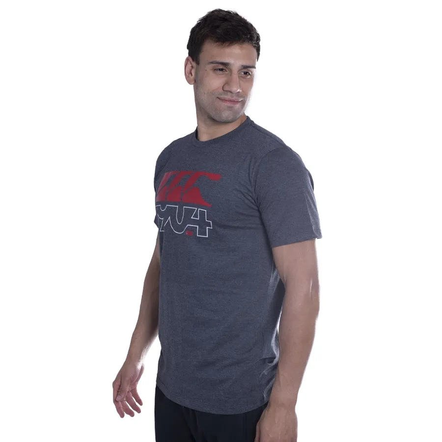 Imagen 1 de 3 de Remera Canterbury CCC 1904-GRIS