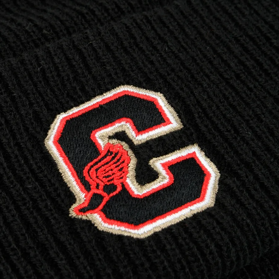 Imagen 2 de 3 de Gorro Champion 006-NEGRO