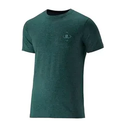 Remera Salomon LS TEE III