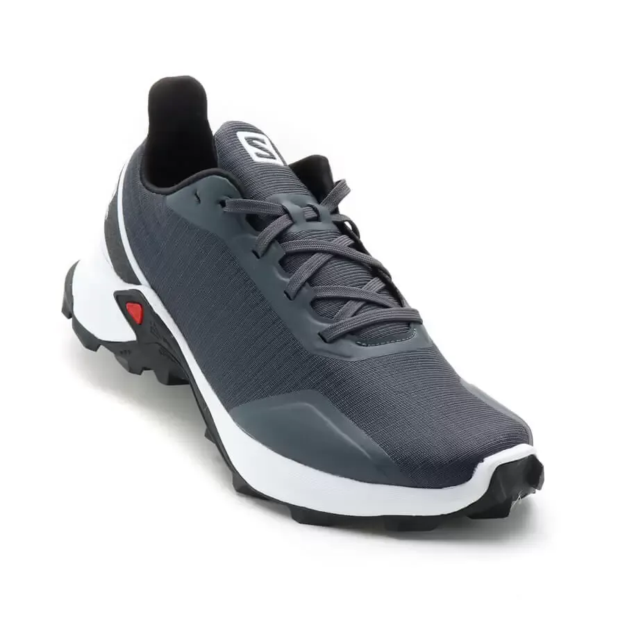 Imagen 0 de 5 de Zapatillas Salomon Alphacross W-GRIS/BLANCO