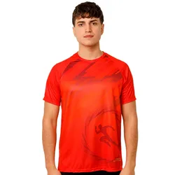 Remera Warner Bros The Flash