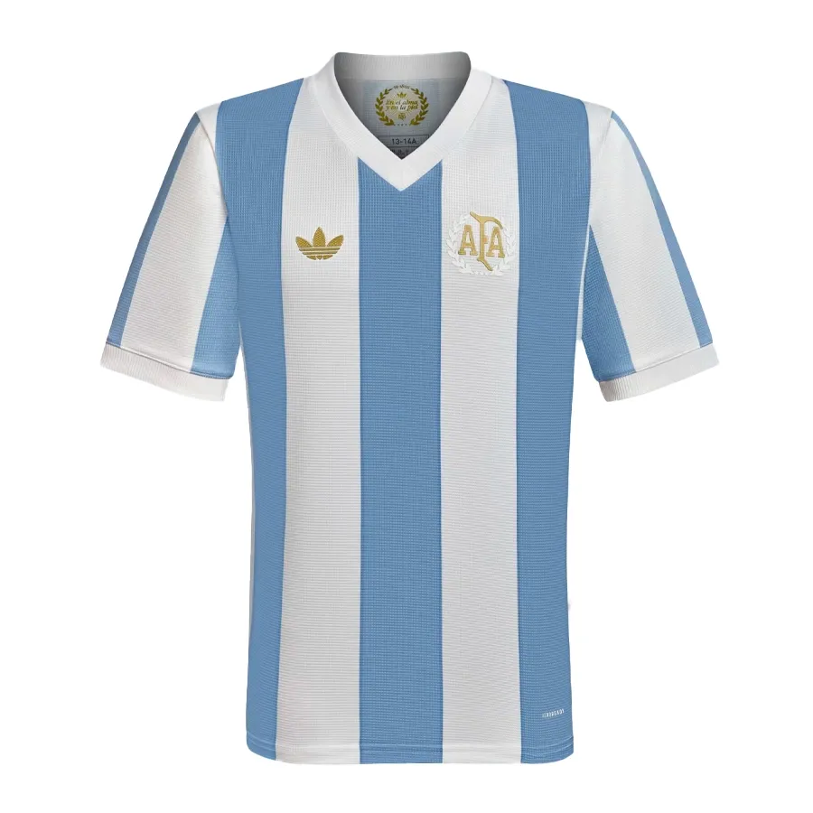 Imagen 0 de 2 de Camiseta adidas originals Aniversario Argentina 50 Años AFA-BLANCO/CELESTE