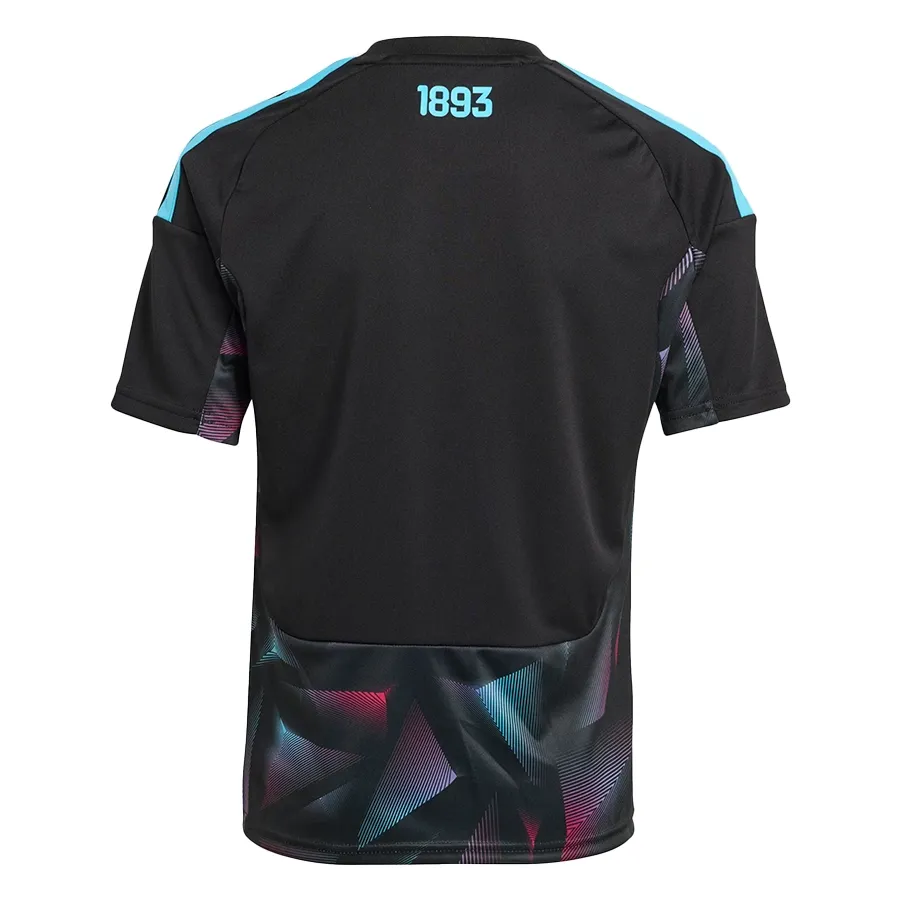 Imagen 1 de 2 de Camiseta adidas Titular de Arquero 26 Afa-NEGRO/CELESTE