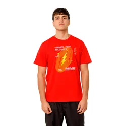 Remera Warner Bros The Flash Urban