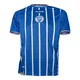 camiseta-fiume-sport-oficial-22-godoy-cruz-AZUL/BLANCO