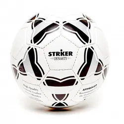 Pelota Striker N°5 Dinasty