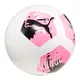 pelota-puma-big-cat-BLANCO/ROSA