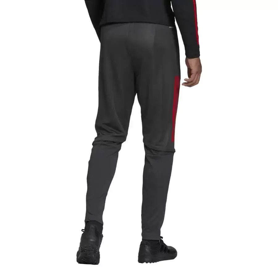 Imagen 1 de 4 de Pantalón adidas River Plate Entrenamiento-GRAFITO