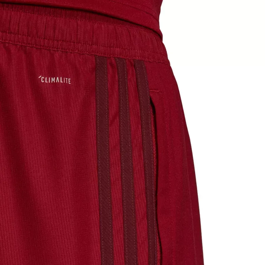 Imagen 1 de 4 de Shorts adidas River Plate-BORDO/BLANCO