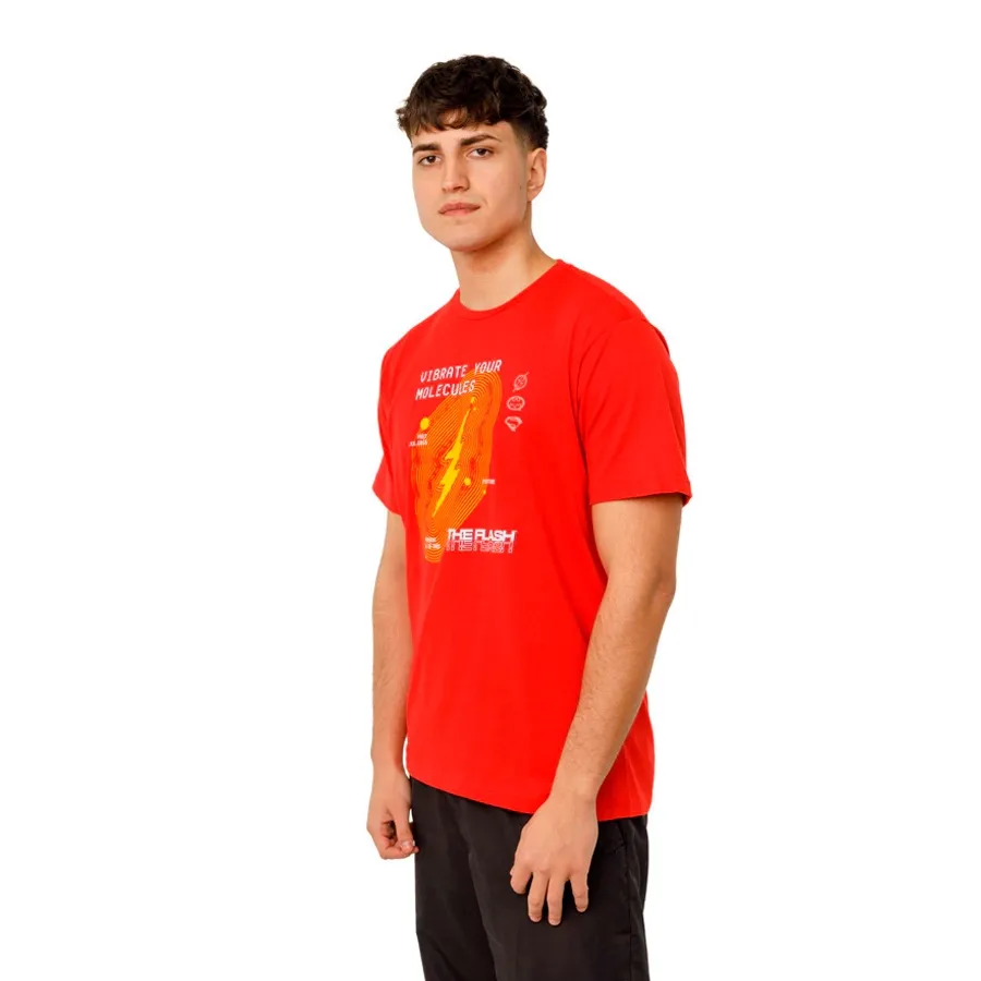 Imagen 2 de 4 de Remera Warner Bros The Flash Urbana Mc-ROJO/AMARILLO