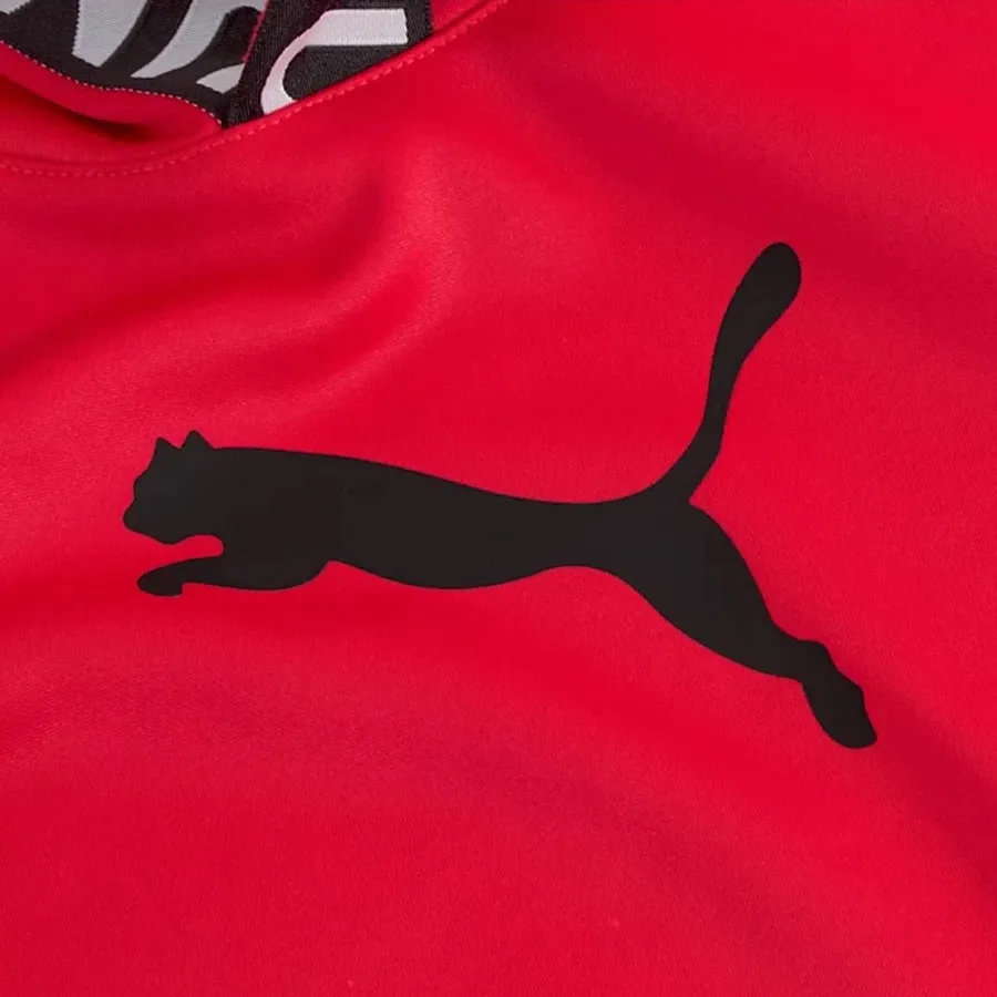 Imagen 3 de 4 de Buzo Puma Train Pwr Fleece-ROJO