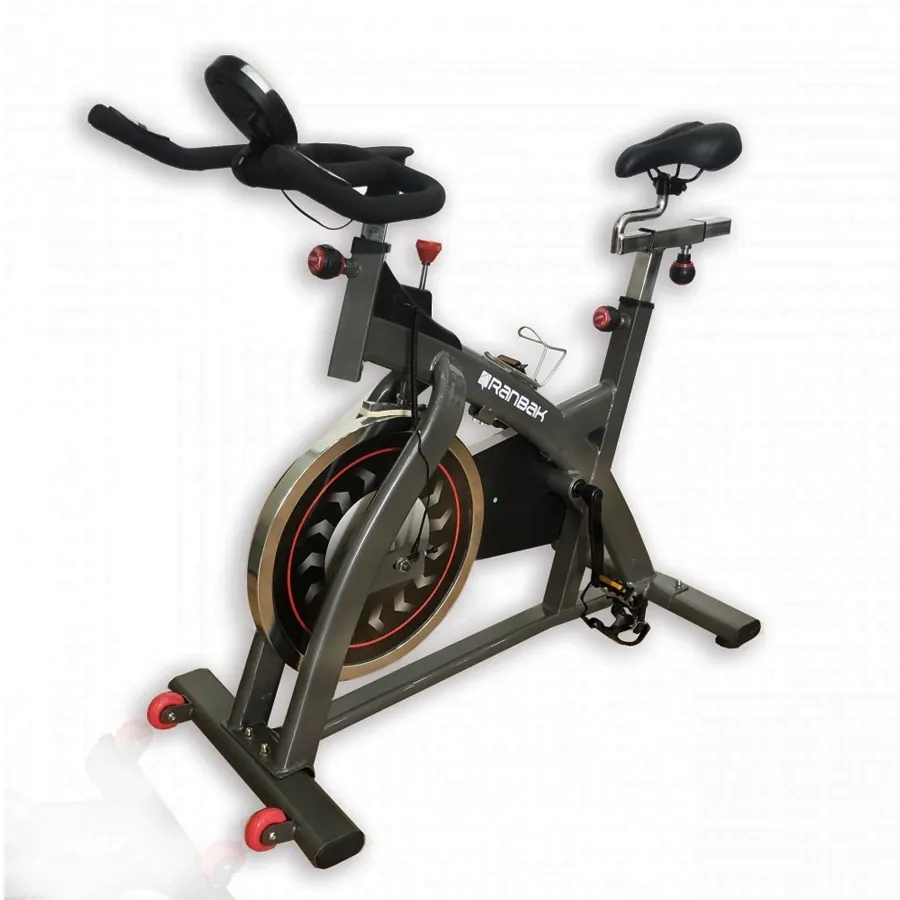 Imagen 1 de 3 de Bicicleta Fija Ranbak Bicicleta Spining Disco 18 Kg-NEGRO
