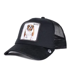 Gorra Goorin Bros Baseball The Butch