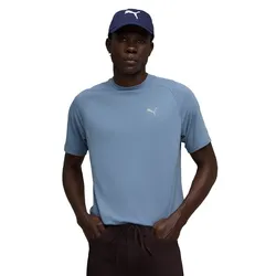 Remera Puma Evostripe Tee