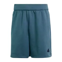 Shorts adidas Z.N.E
