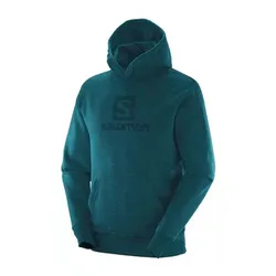 Buzo Salomon Polar Lt Hoodie