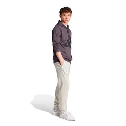 Conjunto adidas Sportswear Big Logo French Terry Hooded