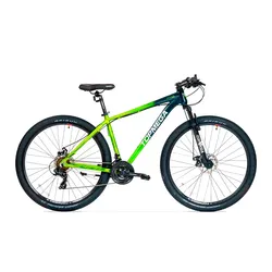TopMega Mountain Bike Sunshine Aluminio R29 21vel