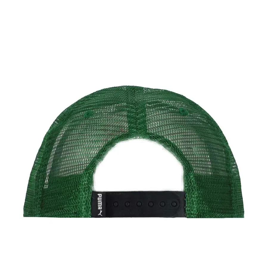 Imagen 1 de 2 de Gorra Puma -VERDE/BLANCO