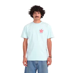Remera Vans Cracked Flower Ss