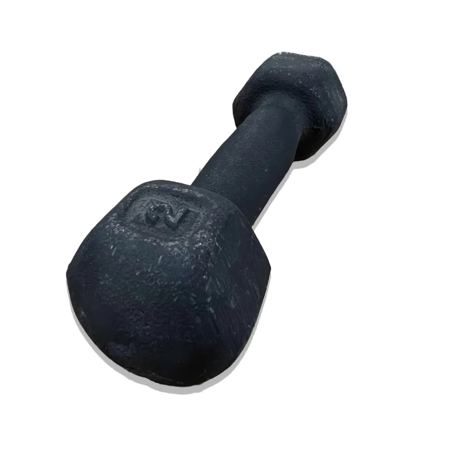 Imagen 0 de 3 de Mancuerna 2Kg Kamp-NEGRO