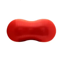 Pelota DRB Fit/Pilates Mani Con Inflador