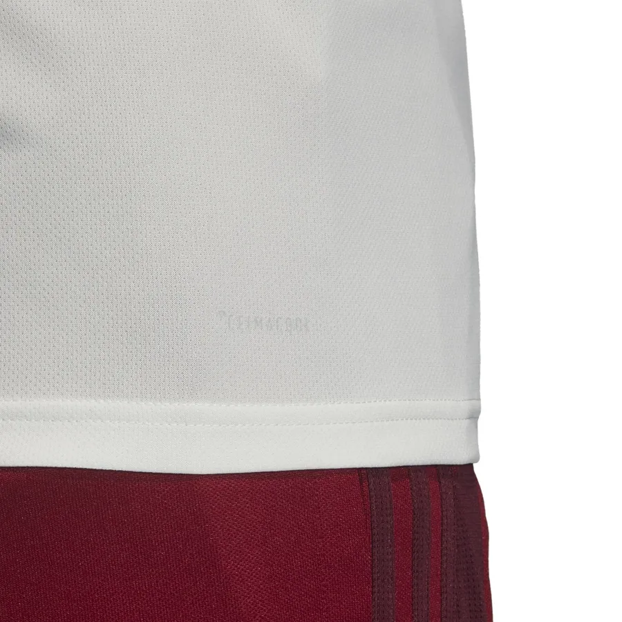 Imagen 2 de 4 de Camiseta adidas De Entrenamiento River Plate-BLANCO/BORDO