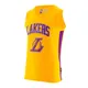 remera-nba-tank-top-lakers-lebron-AMARILLO/MORADO