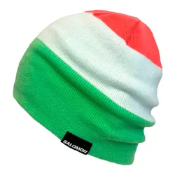 Gorro Salomon Goodtime Reversible Beanie